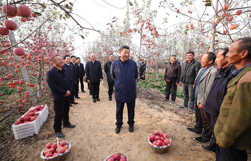 10月26日至28日，中共中央总书记、国家主席、中央军委主席习近平在陕西省延安市、河南省安阳市考察。这是26日下午，习近平在延安市安塞区高桥镇南沟村苹果园同老乡们亲切交流。